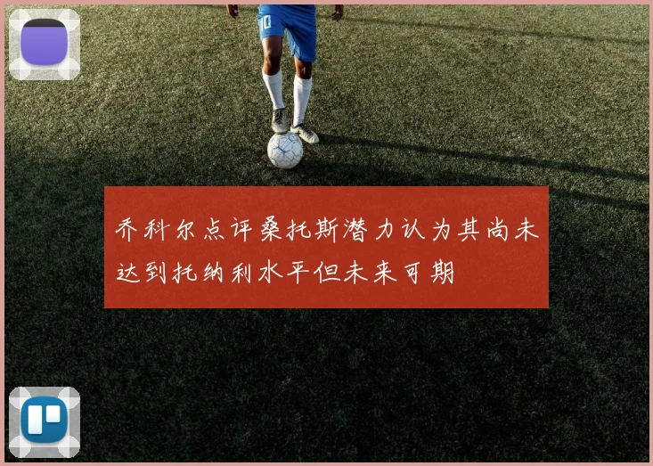 乔科尔点评桑托斯潜力认为其尚未达到托纳利水平但未来可期