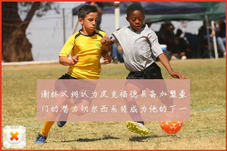 谢林汉姆认为皮克福德具备加盟豪门的潜力切尔西或将成为他的下一个选择
