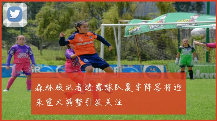森林狼记者透露球队夏季阵容将迎来重大调整引发关注